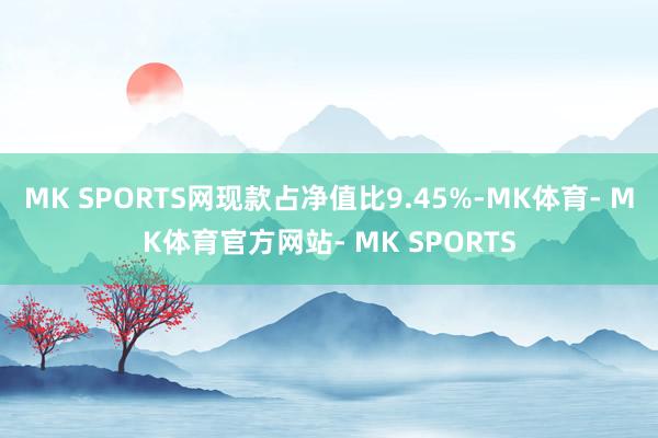 MK SPORTS网现款占净值比9.45%-MK体育- MK体育官方网站- MK SPORTS